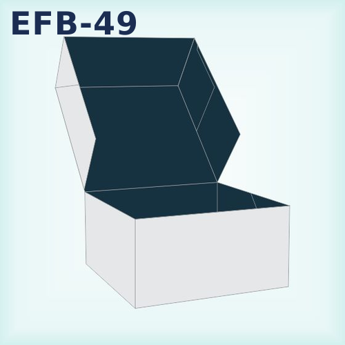 EFB-49 — 6 Corner Box packaging