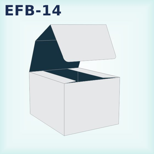 EFB-14 — Pop Display Box Auto Bottom packaging