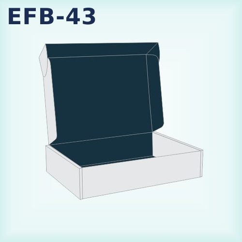 EFB-43 — Tab Lock Tuck Top Boxes packaging