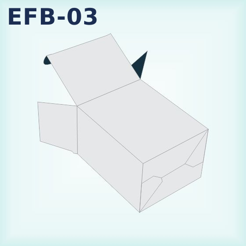 EFB-03 — Tuck End Auto Bottom packaging